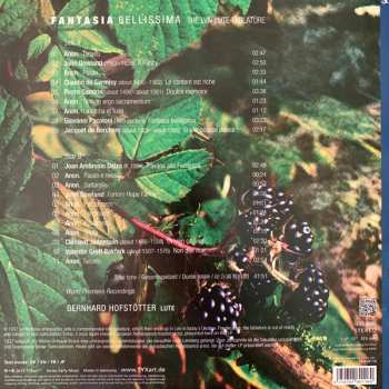 LP Bernhard Hofstötter: Fantasia Bellissima The Lviv Lute Tablature