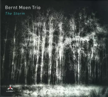 Bernt Moen Trio: The Storm