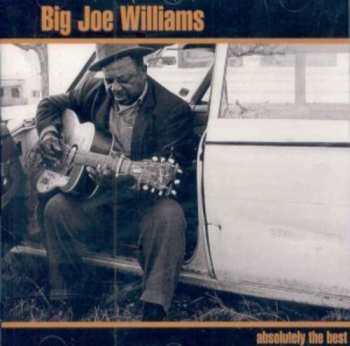 Album Big Joe Williams: Absolutely The Best