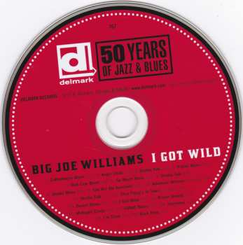 CD Big Joe Williams: I Got Wild