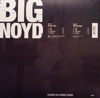 LP Big Noyd: Come Thru
