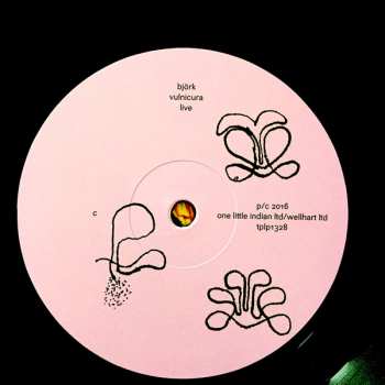 2LP Björk: Vulnicura Live