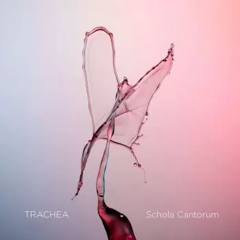 Bjørn Kåre Odde: Schola Cantorum - Trachea