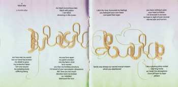 CD Björk: Vulnicura DLX | LTD