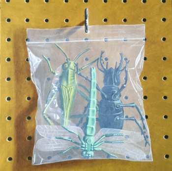 4LP/Box Set Black Country, New Road: Ants From Up There DLX | LTD