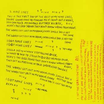 CD Black Grape: Pop Voodoo