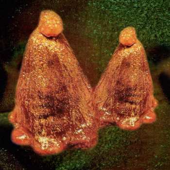 LP Black To Comm: Oocyte Oil & Stolen Androgens
