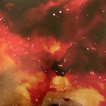 LP Blanck Mass: Animated Violence Mild LTD | CLR