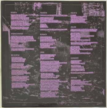 LP Bleachdrinker: Love Songs CLR | LTD