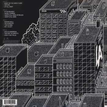 2LP Blink-182: Neighborhoods