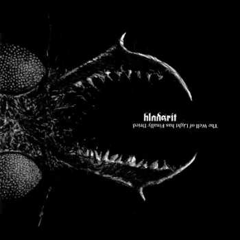 Album Blodsrit: The Well Of Light Has Finally Dried