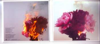 CD Bloody Knives: I Will Cut Your Heart Out For This