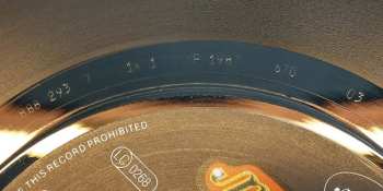 SP Bob Geldof: Love Like A Rocket