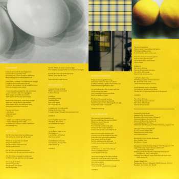 LP Bob Mould: Beauty & Ruin