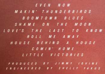 LP Bob Seger And The Silver Bullet Band: The Distance