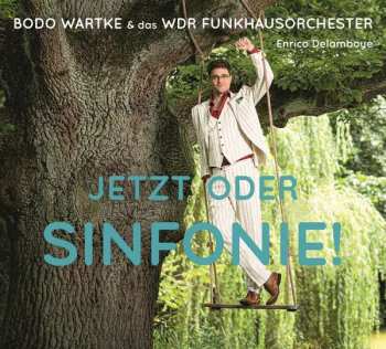 Album WDR Funkhausorchester: Jetzt Oder Sinfonie!