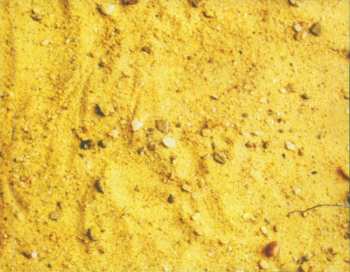 CD Bohemia: Zrnko Písku