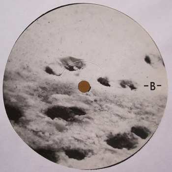 LP Bon Iver: Blood Bank