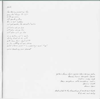 LP Bon Iver: Bon Iver, Bon Iver