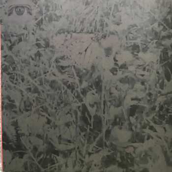 LP Bon Iver: i,i