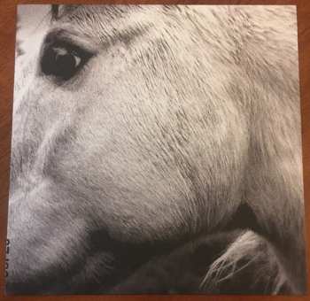 LP Bonny Light Horseman: Bonny Light Horseman LTD | CLR