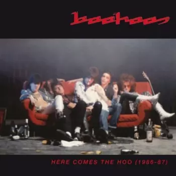 Boohoos: Here Comes The Hoo (1986-87)