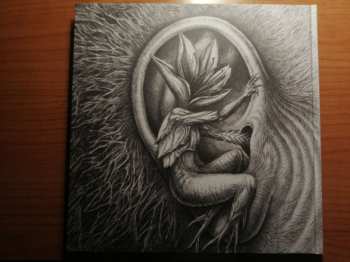 5CD Botanist: Encyclopedia Botanica, Vol. 1: The Rise of Azalea LTD