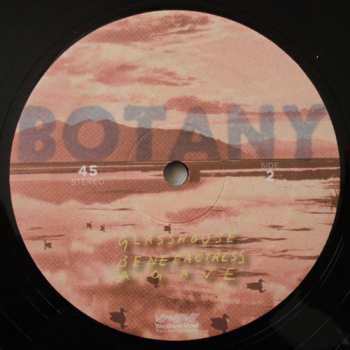 LP Botany: Feeling Today EP