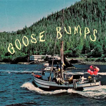 Boyscott: Goose Bumps