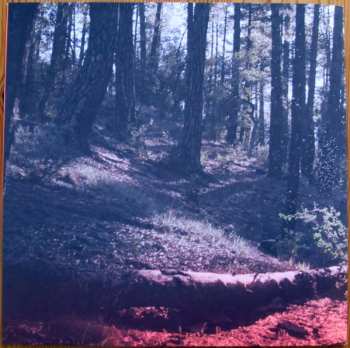 LP Braids: Deep In The Iris