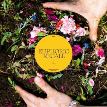 LP Braids: Euphoric Recall