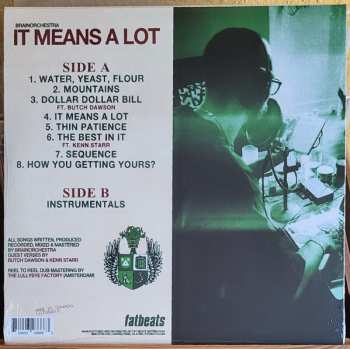 LP Brainorchestra: It Means A Lot