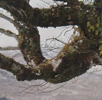 CD Breabach: Fàs