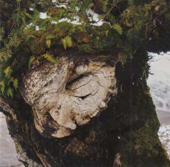 CD Breabach: Fàs