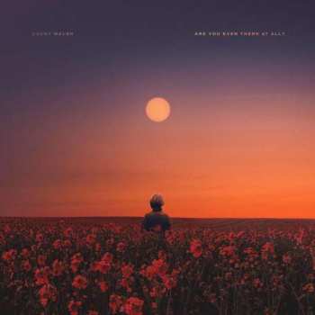 CD Brent Walsh: Are You Even There At All Ep