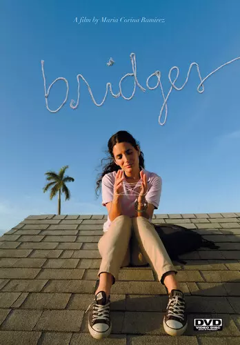 Bridges: Bridges