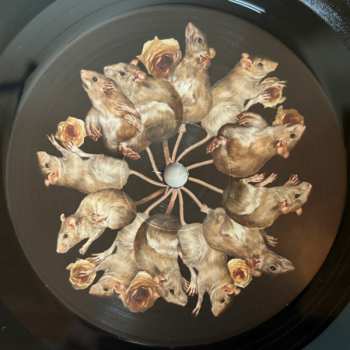 LP Brimheim: Ratking