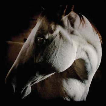 LP Brother Dege: How To Kill A Horse (white Vinyl)