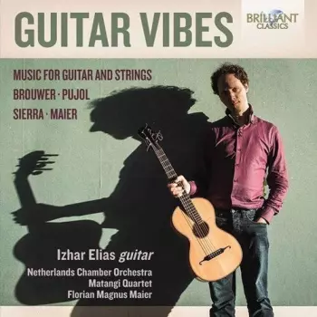 Guitar Vibes: Music For Guitar And Strings 