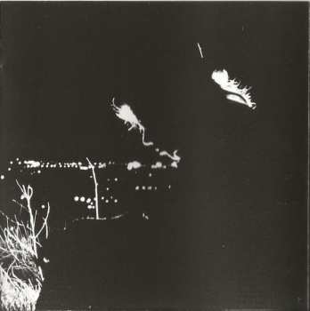 CD Bruce Cockburn: Night Vision