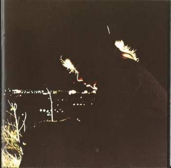 CD Bruce Cockburn: Night Vision