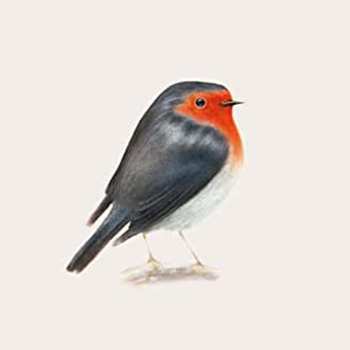 Album Brunori Sas: {Cip!}