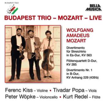 Album Budapest Symphony Orchestra: Hooked On Our Classics = Klasszikusok Popritmusban