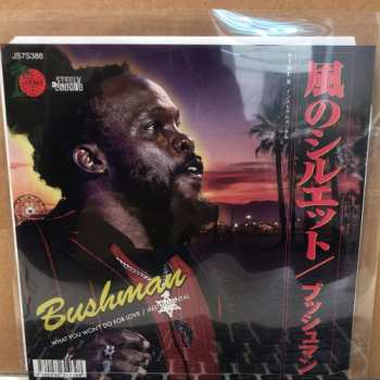 SP Steely & Clevie: 風のシルエット = What You Won't Do For Love / Instrumental 