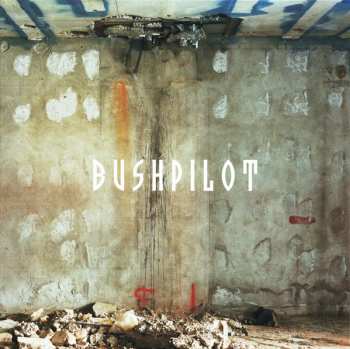 Album Bushpilot: Already!