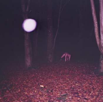 CD Buzzard Buzzard Buzzard: Skinwalker