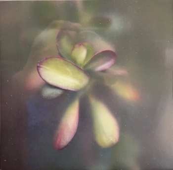 LP µ-Ziq: Secret Garden  LTD | CLR