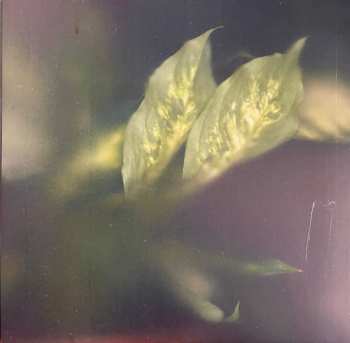LP µ-Ziq: Secret Garden  LTD | CLR