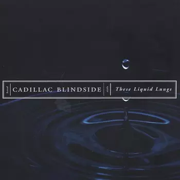 These Liquid Lungs
