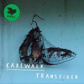 CD Cakewalk: Transfixed
